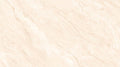 Digital Vitrified Tiles Code 42502 (600x1200 mm) Glossy