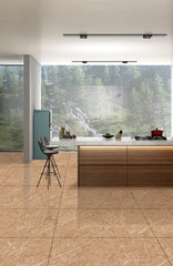 Digital Vitrified Tiles Code 47041 (600x1200 mm) Glossy