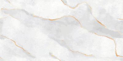 Digital Vitrified Tiles Code 47115 (600x1200 mm) Glossy