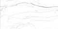 Digital Vitrified Tiles Code 5026 (600x1200 mm) Glossy Endless