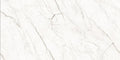 Digital Vitrified Tiles Code 5037 Sepia (600x1200 mm) Glossy Endless