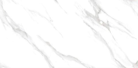 Digital Vitrified Carving Tiles Code 505 (600x1200 mm) Carving