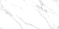 Digital Vitrified Carving Tiles Code 505 (600x1200 mm) Carving
