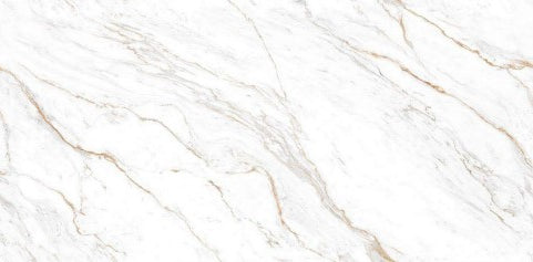 Digital Vitrified Carving Tiles Code 507 (600x1200 mm) Carving