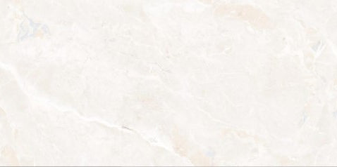 Digital Vitrified Carving Tiles Code 559 (600x1200 mm) Carving