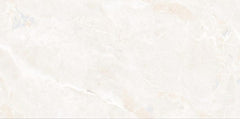 Digital Vitrified Carving Tiles Code 559 (600x1200 mm) Carving