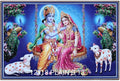 Digital Poster Tiles Code Plain B13 (1x1.5 feet)