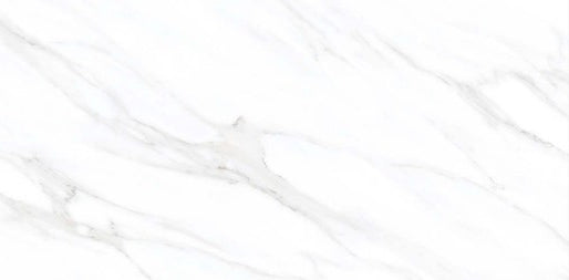 Digital Vitrified Tiles Code 6411 (600x1200 mm) Glossy