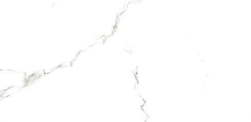 Digital Ceramic Tiles Code 21555 (300x600 mm)