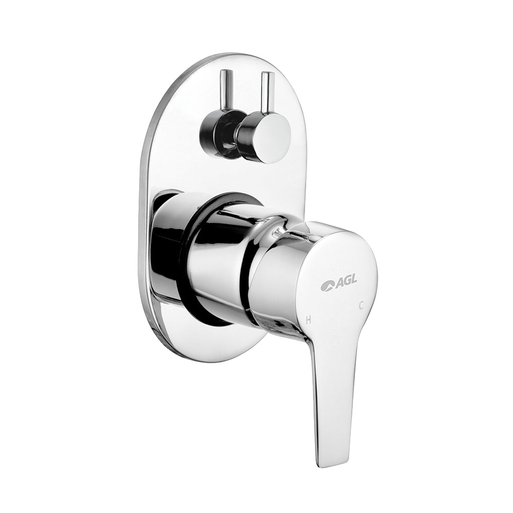 AGL Taylor Exposed Part of Divertor