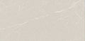 Digital Ceramic Tiles Code 22250-HL2 (300x600 mm)