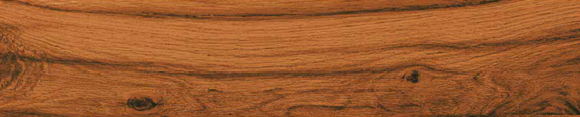 Digital Wooden Tiles Code 8018 (200x1000mm)
