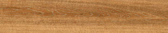 Digital Wooden Tiles Code 8218 (200x1000mm)