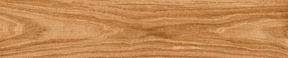 Digital Wooden Tiles Code 8267 (200x1000mm)