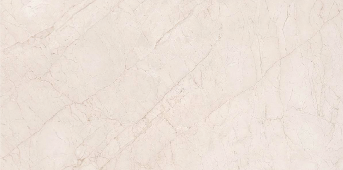 Digital Vitrified Tiles Code Arezzo Ash (600x1200 mm) Glossy