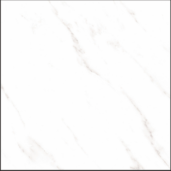Digital Vitrified Tile Code Argos Carara (600x600 mm) Glossy