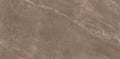 Digital Vitrified Tiles Code Armano Coco  (600x1200 mm) Carving Endless