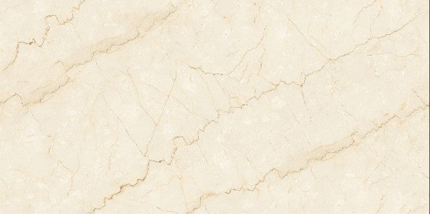 Digital Vitrified Tiles Code Botochino Siena Endless (600x1200 mm) Glossy