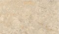 Digital Vitrified Tiles Code Breccia (600x1200 mm) Glossy