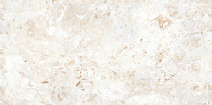 Digital Vitrified Tiles Code Brescia fantastico (600x1200 mm) Glossy