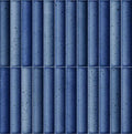 Digital Subway Tiles Code Bumpy Cosmo Shappire (300x300mm)