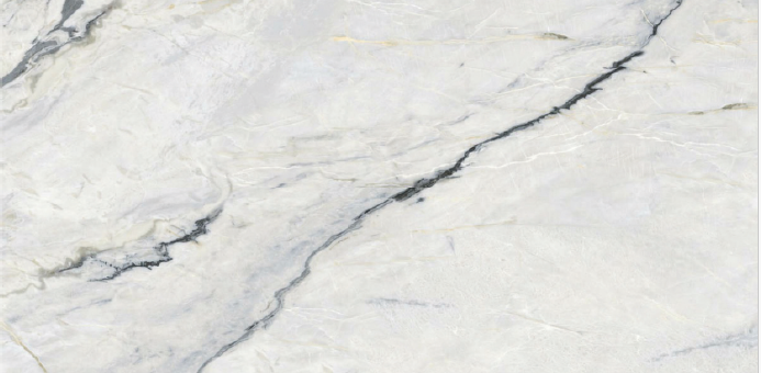 Digital Vitrified Tiles Code Canaria Tusk (600x1200 mm) Glossy
