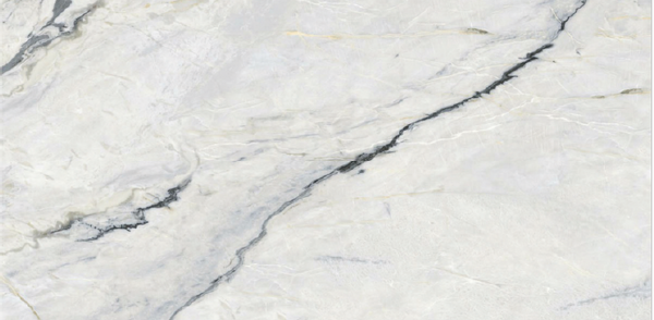 Digital Vitrified Tiles Code Canaria Tusk (600x1200 mm) Glossy