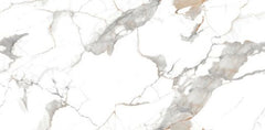 Digital Vitrified Tiles Code Carrara Exotica (600x1200 mm) Glossy