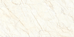 Digital Vitrified Carving Tiles Code Ceaser Light (600x1200 mm) Carving