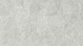 Digital Vitrified Tiles Code Cotone Grey Endless (600x1200 mm) Glossy