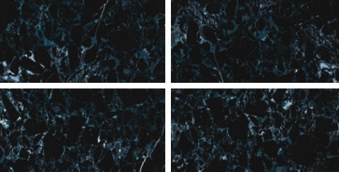 Digital Vitrified Tiles Code Davis Aqua (600x1200 mm) High Glossy