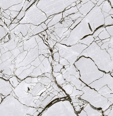 Digital Vitrified Carving Tiles Code Dynamic Silver (600x600 mm) Carving