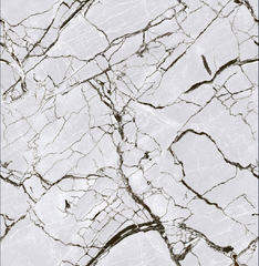 Digital Vitrified Carving Tiles Code Dynamic Silver (600x600 mm) Carving