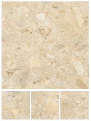 Digital Vitrified Tile Code Emil Brown (600x600 mm) Glossy