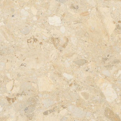 Digital Vitrified Tile Code Emil Brown (600x600 mm) Glossy