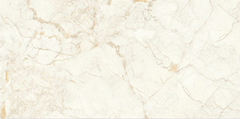 Digital Vitrified Tiles Code Exotic Beige (600x1200 mm) Glossy