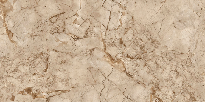 Digital Vitrified Tiles Code Exotic Brown (600x1200 mm) Glossy