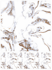 Digital Vitrified Tile Code Foam Blue (600x600 mm) Glossy