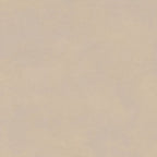 Digital Vitrified Tiles Code G-102 (600x600 mm) G Series