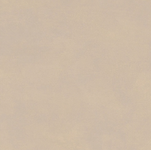 Digital Vitrified Tiles Code G-102 (600x600 mm) G Series
