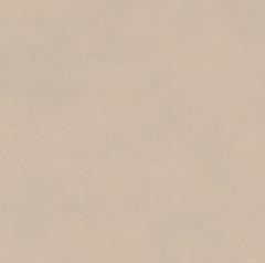 Digital Vitrified Tiles Code G-102 (600x600 mm) G Series
