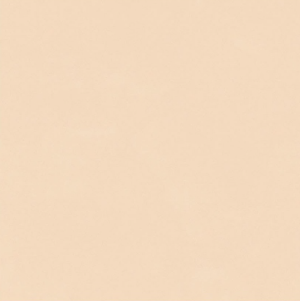 Digital Vitrified Tiles Code G-106 (600x600 mm) G Series