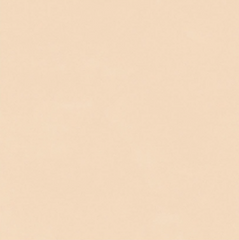 Digital Vitrified Tiles Code G-106 (600x600 mm) G Series