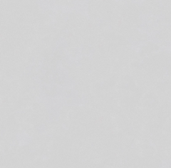 Digital Vitrified Tiles Code G-108 (600x600 mm) G Series