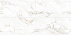 Digital Vitrified Tiles Code Globell Natural (600x1200 mm) Carving Endless