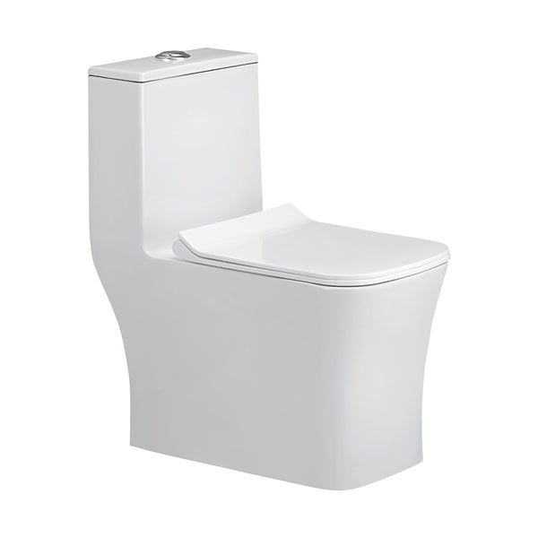 AGL Laviinia S Trap One Piece EWC With Soft Close Seat Cover