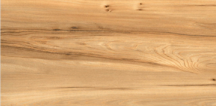 Digital Wooden Tiles Code Oak Wood (600x1200 mm) Matt