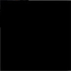 Digital Moroccan Tiles Code PLAIN BLACK (300x300mm)
