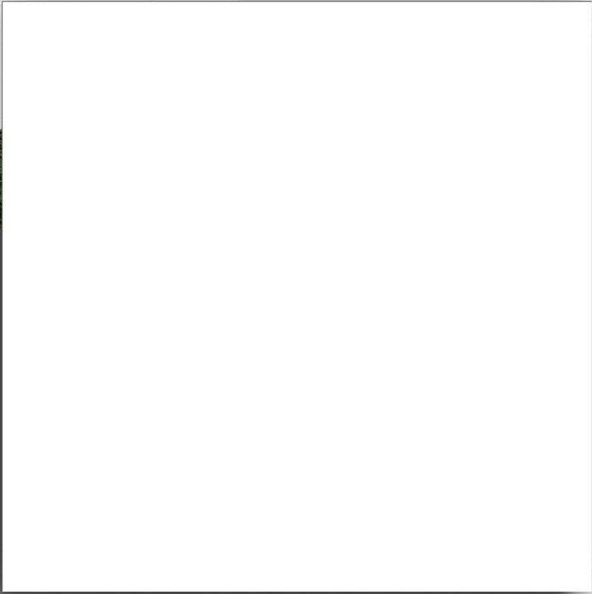 Digital Moroccan Tiles Code PLAIN WHITE (300x300mm)