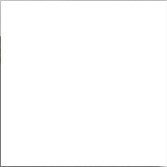 Digital Moroccan Tiles Code PLAIN WHITE (300x300mm)